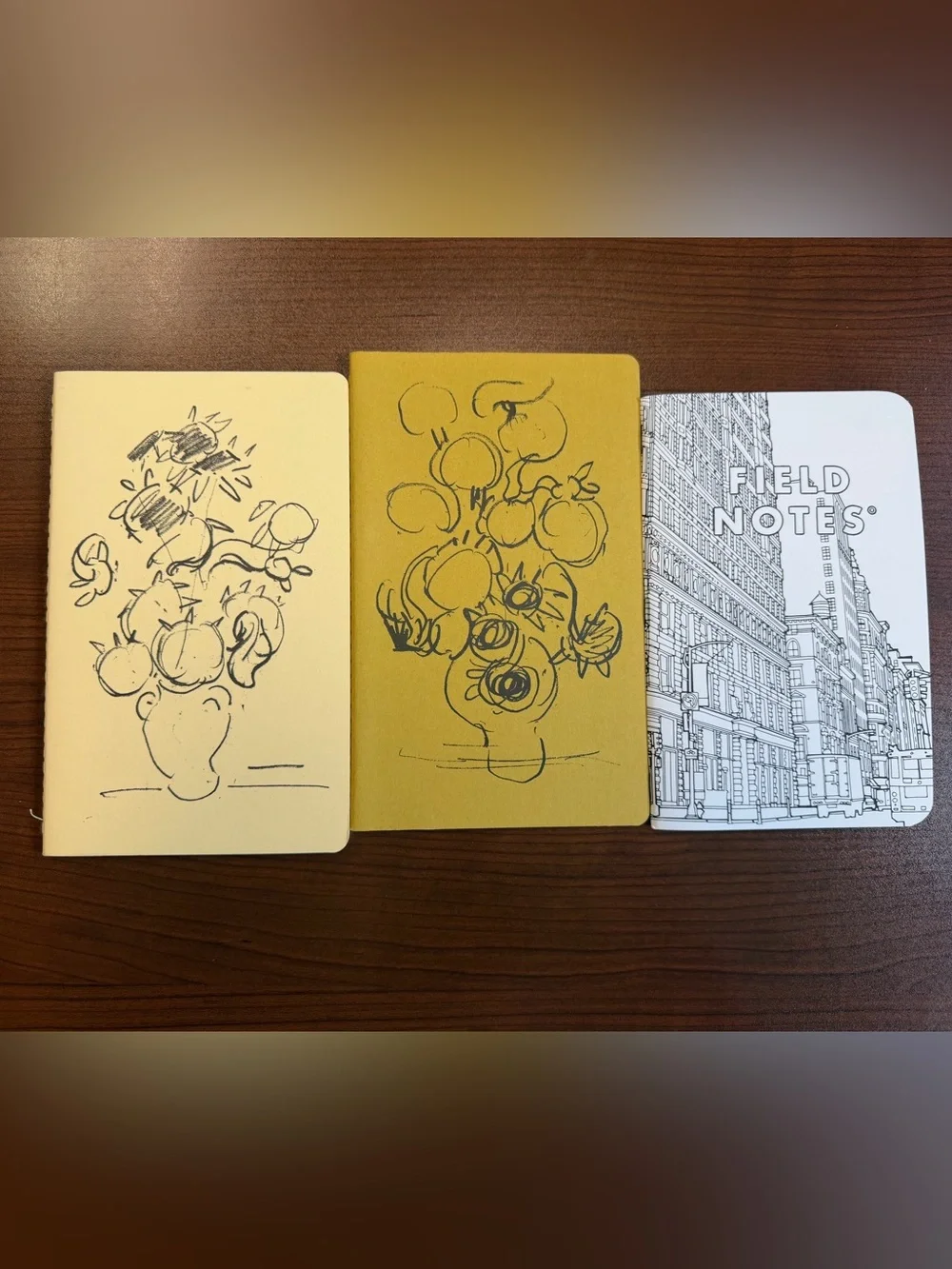 (3) notebook books